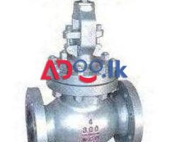 GLOBE VALVES SUPPLIERS IN KOLKATA