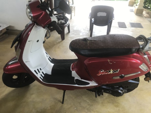 demark-scooter-for-sale-big-4