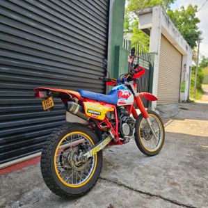 Honda XLR xr 250 RFVC 1999 - Image 2