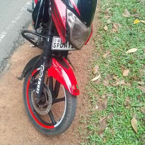 Bajaj Pulsar 135 2014 - Image 3