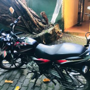 Bajaj Discover 125 2016 - Image 2