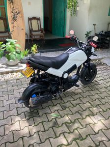Honda Navi 2017