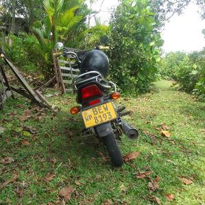 Bajaj CT100 2017 - Image 3