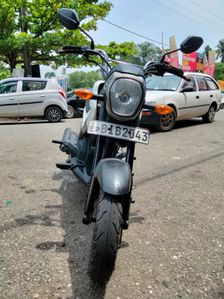 Honda Navi 2019