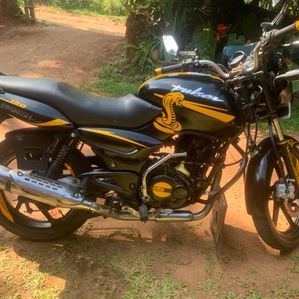 Bajaj Pulsar 150 2005 - Image 3