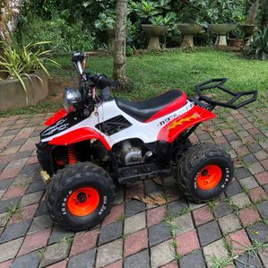 Electric Atv 2011 - Image 2