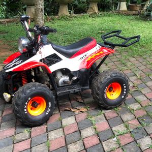 Electric Atv 2011 - Image 3