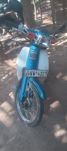 Honda Little Cub 2025