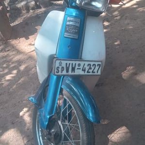 Honda Little Cub 2025 - Image 2