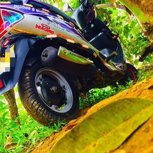 TVS Scooty Pep+ 2017 - Image 3