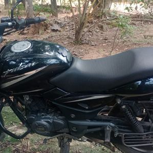 Bajaj Pulsar 150 2018 - Image 3