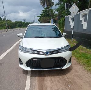 Toyota Axio WXB Anniversary 2019