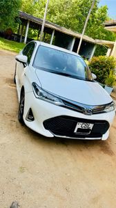 Toyota Axio WXB 2019