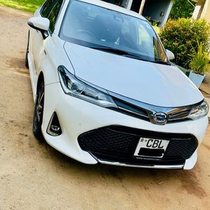 Toyota Axio WXB 2019 - Image 2
