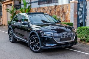 Audi e-tron Q8-Agent Warranty 2024