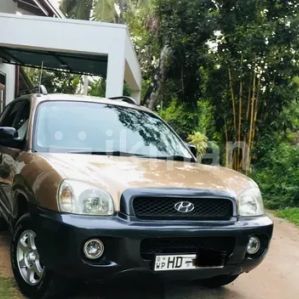 Hyundai Santa Fe 2003 - Image 3