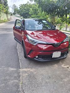 Toyota CHR NGX10 Blacktop 2019