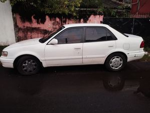 Toyota Corolla 2000