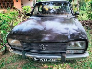 Peugeot 505 1973