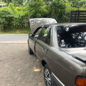Nissan Sunny 1991 - Image 2