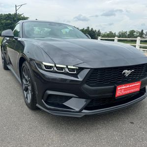 Ford Mustang Eco boost Fast back 2025 - Image 3