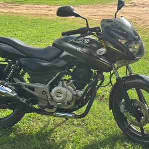 Bajaj Pulsar 150 2016 - Image 2