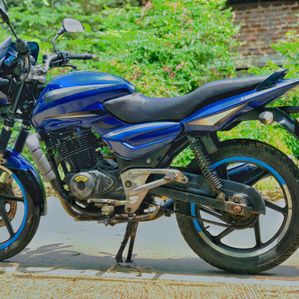 Bajaj Pulsar 150 2006 - Image 3