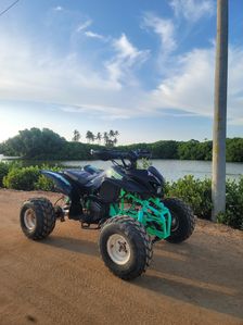 Revolt atv 200cc 2006