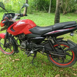 Bajaj Pulsar 135 2011 - Image 3