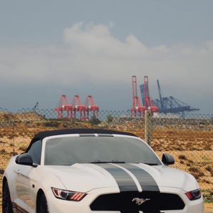 Ford Mustang Eco boost 2016 - Image 3