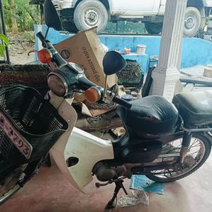Honda Super Club 50 2010 - Image 3