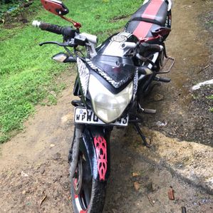 Bajaj Pulsar 135 2011 - Image 2