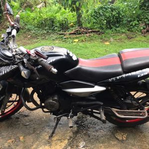 Bajaj Pulsar 135 2011 - Image 3