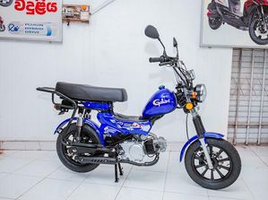 Moped Gallant TM 70 2025