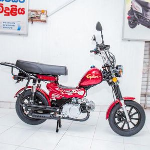 Moped Gallant TM 70 2025 - Image 3