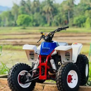 Yamaha Blaster 200 2015 - Image 2