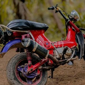 Honda Chaly 2001 - Image 3