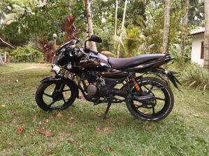Bajaj XCD 125 2008