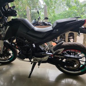 Demak DXT Dart 2017 - Image 2