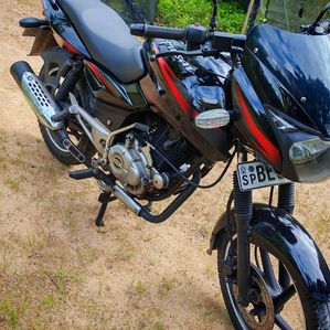 Bajaj Pulsar 150 2016 - Image 2