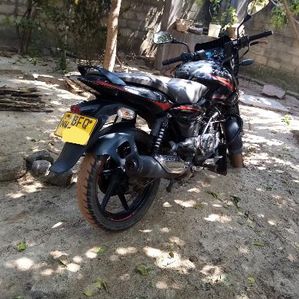 Bajaj Pulsar 150 2017 - Image 3