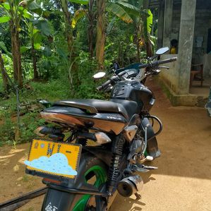 Bajaj Pulsar 135 2011 - Image 2