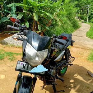Bajaj Pulsar 135 2011 - Image 3
