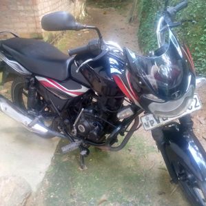 Bajaj Discover 100 2010 - Image 2