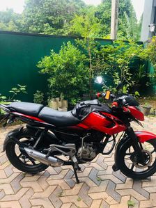 Bajaj Pulsar 135 2014