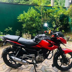 Bajaj Pulsar 135 2014 - Image 2