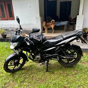 Bajaj Pulsar 135 2011 - Image 3