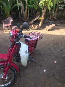 Honda MD 2023