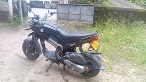 Honda Navi 2019