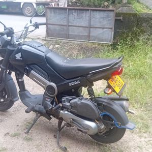 Honda Navi 2019 - Image 2